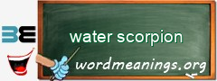WordMeaning blackboard for water scorpion